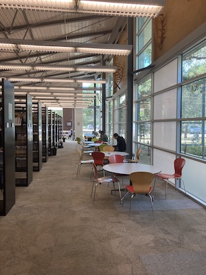 The Work Gallery the work gallery