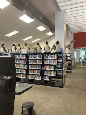 Children's Area children's area